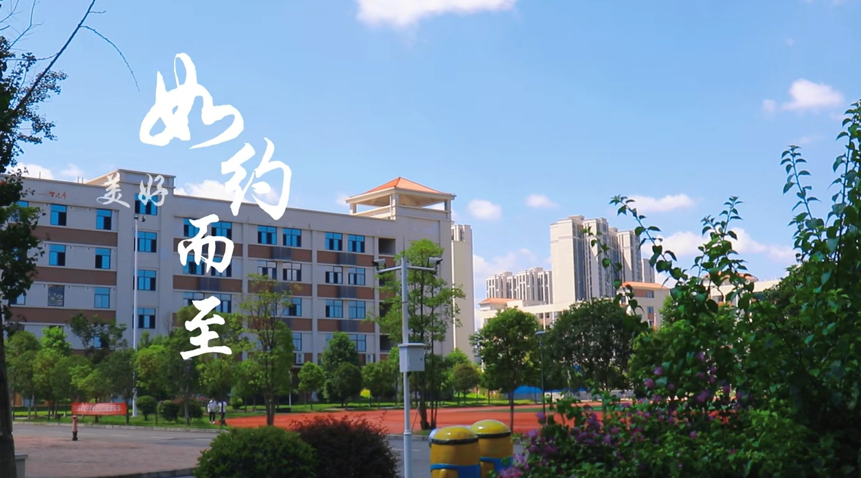 d50f361906dbf71468ae4074881c8fa.png