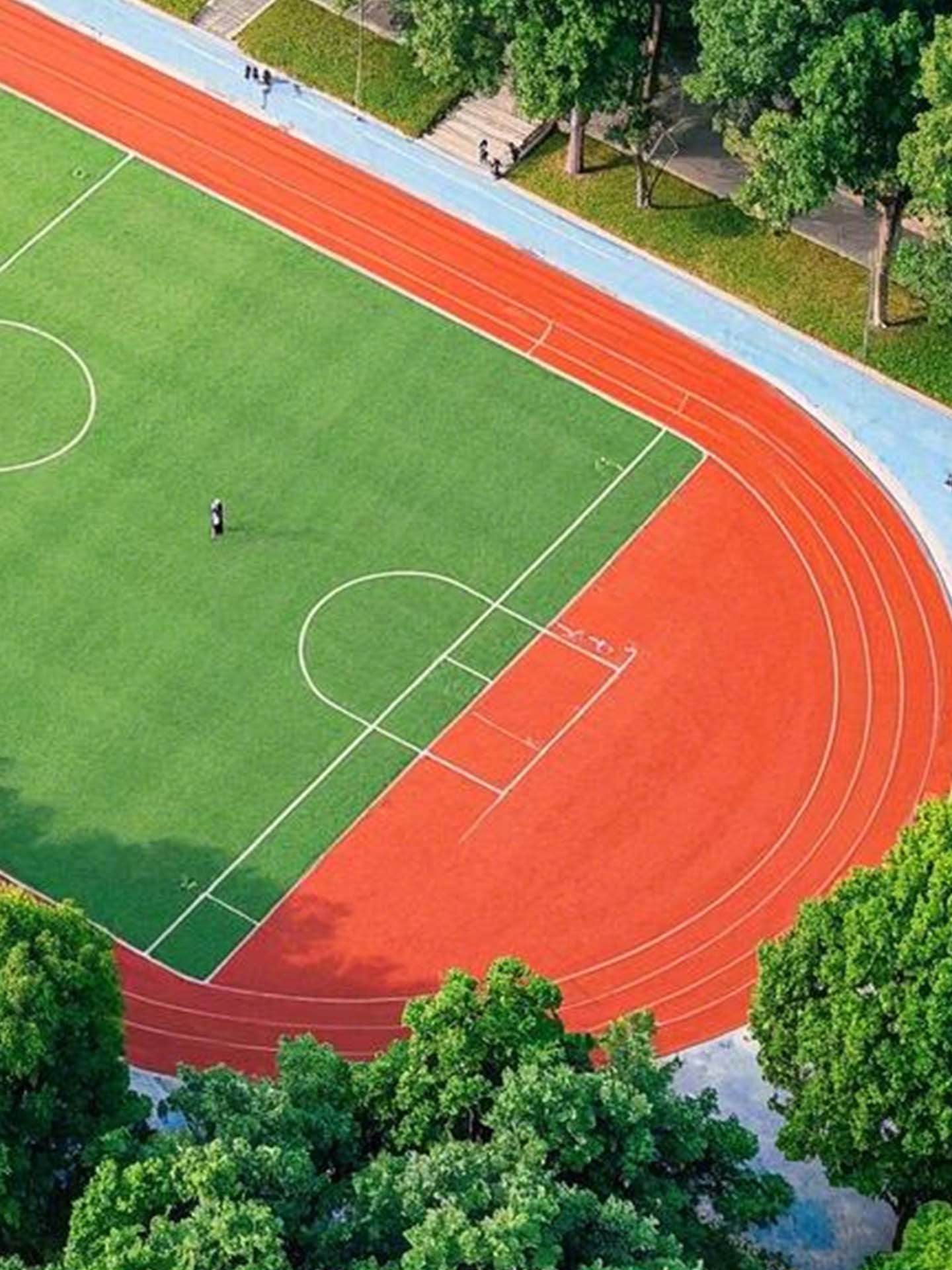 56.jpg