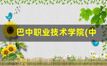 巴中职业技术学院(中职部)2024年录取分数(巴中职业技术学院官网入口)