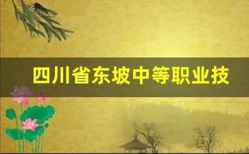 四川省东坡中等职业技术学校2024年录取分数(东坡区职业学校)