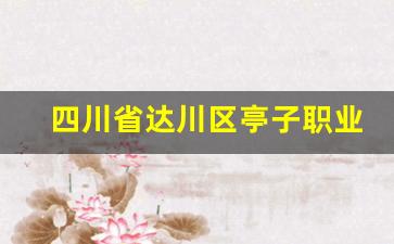 四川省达川区亭子职业高级中学2024年录取分数(达川区亭子职业高级中学招标)