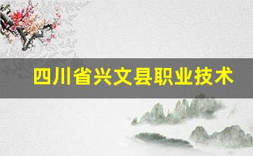 四川省兴文县职业技术学校2024年录取分数(兴县职业中学)