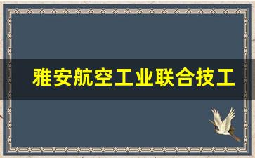 雅安航空工业联合技工学校2024年录取分数(雅安航空工业职业技术学院)