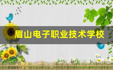 眉山电子职业技术学校2024年录取分数(眉山电子职业技术学校占地面积)