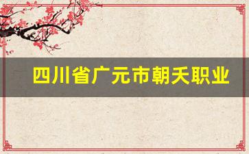 四川省广元市朝夭职业中学2024年录取分数(广元市朝天中学初中部招生网)