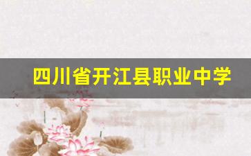 四川省开江县职业中学2024年录取分数(开江县职业中学整体迁建项目)