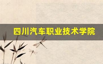 四川汽车职业技术学院(中职部)2024年录取分数(四川汽车职业技术学院)