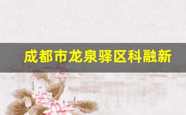 成都市龙泉驿区科融新高中等职业学校2024年录取分数(成都龙泉科技职业技术学校)