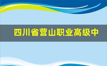四川省营山职业高级中学2024年录取分数(四川省营山职业高级中学)