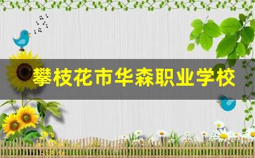 攀枝花市华森职业学校2024年录取分数(攀枝花市华森职业学校教师待遇)